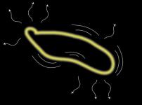 ./home/Astrophysique/Univers/supercorde-cosmique.jpg