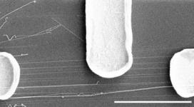 ./home/Physique/Nanotechnologie/nanofils-electronique-2.jpg