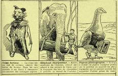 ./home/Retro-sciences/Animaux1933/Amimaux3.jpg