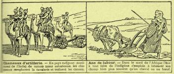./home/Retro-sciences/Animaux1933/Amimaux4.jpg