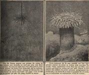 ./home/Retro-sciences/Nature1908/nature-3.jpg